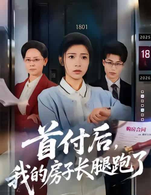 首付后,我的房子长腿跑了(60集全)耿池苏&江海-紫橙网创项目网