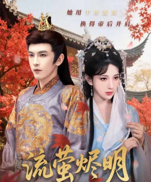 流萤烬明 流萤烬明