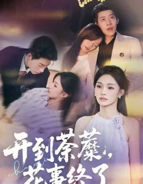 开到荼蘼，花事终了（77集全）靳宇阳＆王为洋-紫橙网创项目网