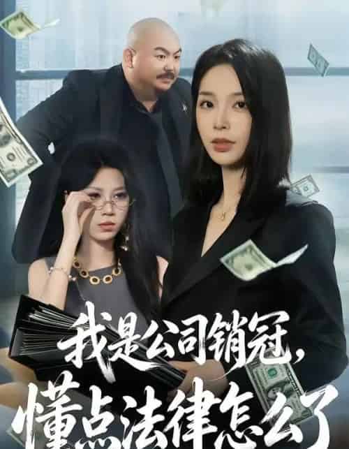我是公司销冠,懂点法律怎么了(66集全)龙梓妍&诸葛迪迪-紫橙网创项目网
