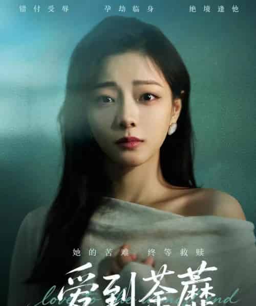 爱到荼蘼(63集全)彭静&张振东-紫橙网创项目网