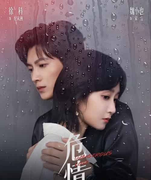 危情(65集全)徐科&魏小也-紫橙网创项目网