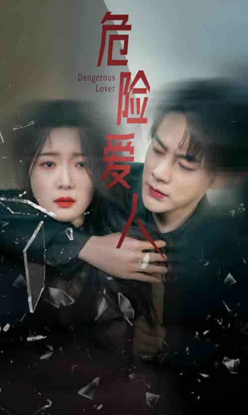 危险爱人（77集） - 紫橙阁短剧