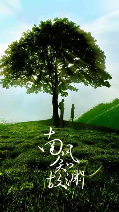 南风知故渊（80集） - 紫橙阁短剧