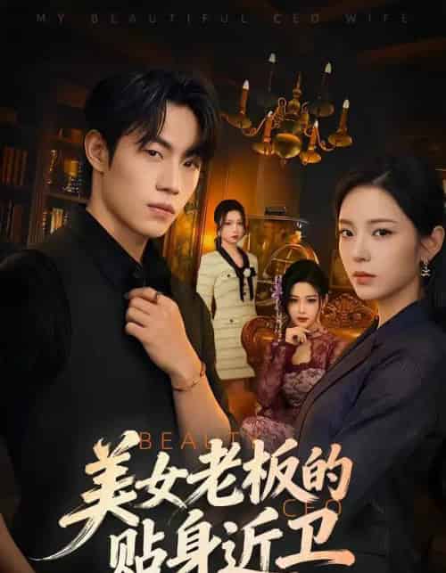 美女老板的贴身近卫（60集全）敖日格乐＆邱卓雅-紫橙网创项目网