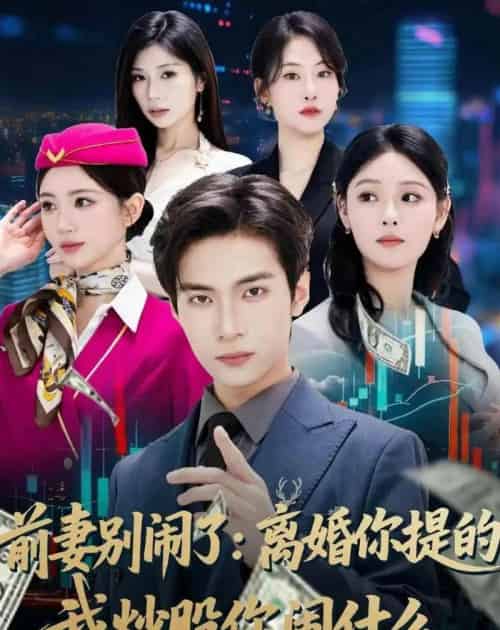 前妻别闹了:离婚你提的,我炒股你闹什么(60集全)谭煦哲&艾江山-紫橙网创项目网