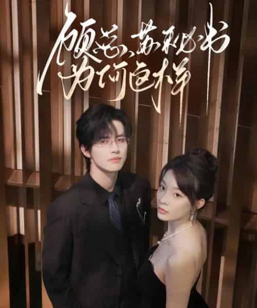 顾总，苏秘书为何这样（67集全）苏和＆李芮峤 - 紫橙阁短剧