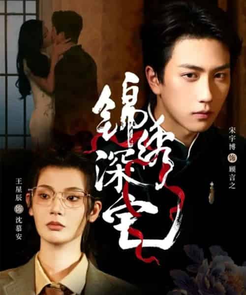 锦绣深宅(61集全)宋宇博&王星辰-紫橙网创项目网