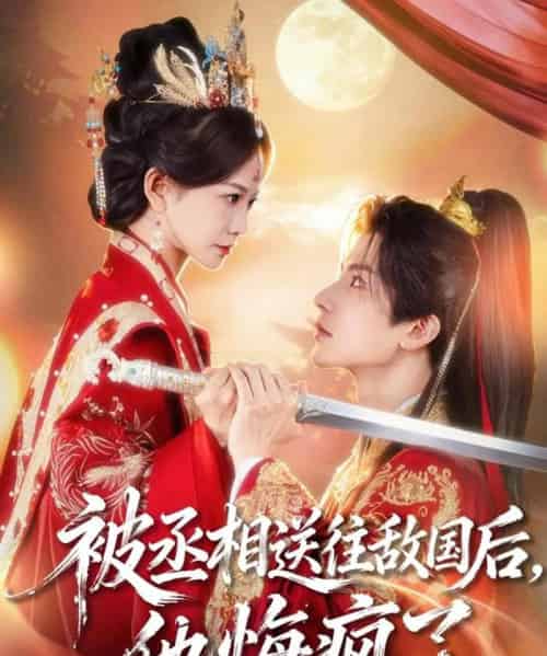 被丞相送往敌国后,他悔疯了(60集全)王琳惠&林飞羽-紫橙网创项目网