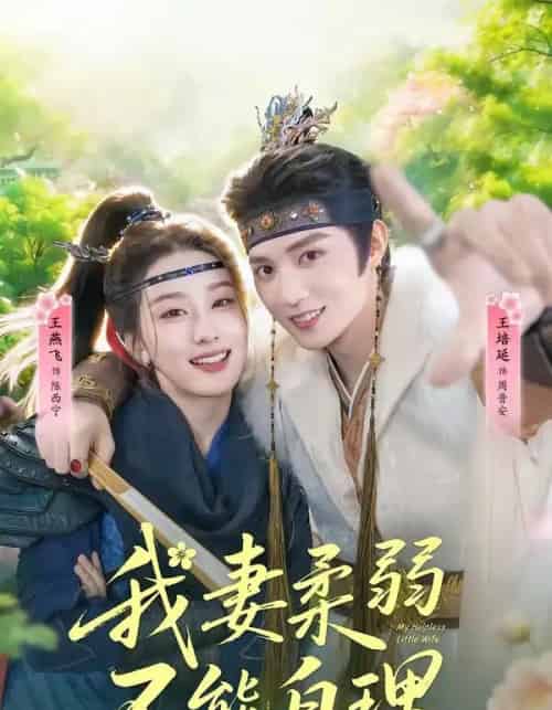 我妻柔弱不能自理（72集全）王培廷＆王燕飞-紫橙网创项目网