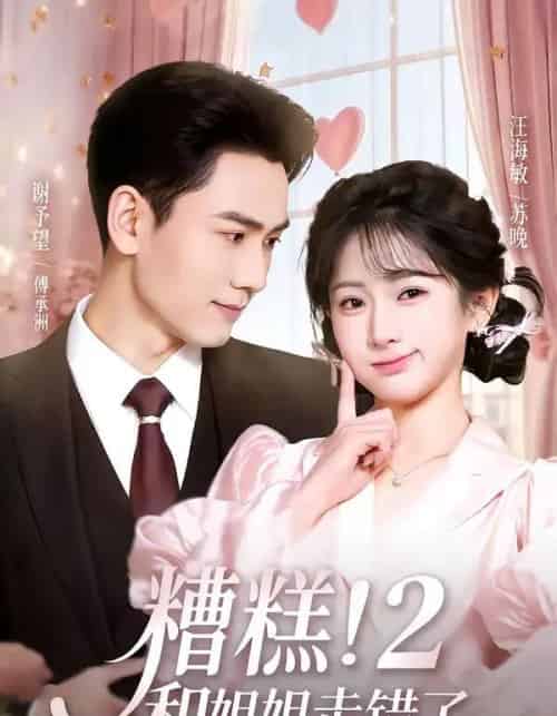 糟糕！和姐姐走错了第2部（80集全）谢予望＆汪海敏-紫橙网创项目网