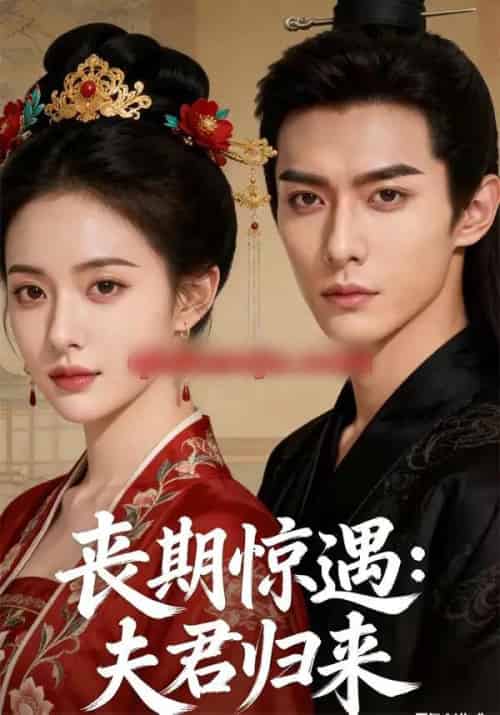 丧期惊遇：夫君归来（49集全）AI-紫橙网创项目网