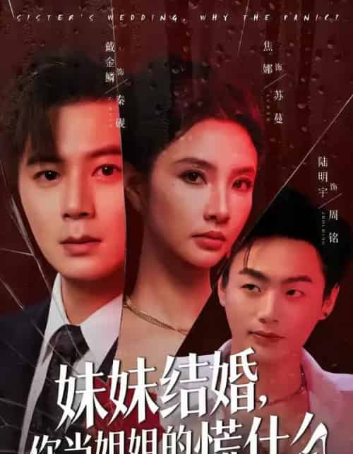 妹妹结婚，你当姐姐的慌什么（53集全）戴金麟＆焦娜-紫橙网创项目网