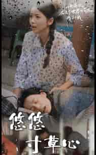 新版：悠悠寸草心（76集） - 紫橙阁短剧