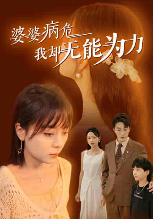 婆婆病危我却无能为力（30集全）陆远＆沈知意 - 紫橙阁短剧