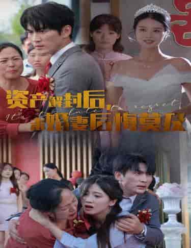 资产解封后，未婚妻后悔莫及＆新版：破茧（60集全） - 紫橙阁短剧