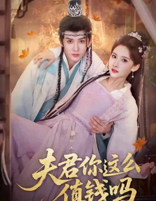 夫君你这么值钱吗 夫君你这么值钱吗