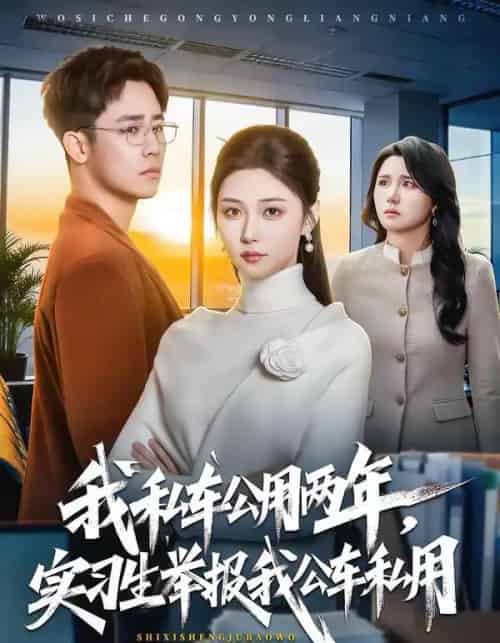 我私车公用两年，实习生举报我公车私用（63集全）程雅昭＆车婷婷 - 紫橙阁短剧
