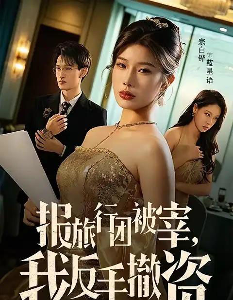 报旅行团被宰,我反手撤资(59集全)宗白铧&王宏扬-紫橙网创项目网