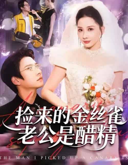 捡来的金丝雀老公是醋精（129集全）白羽＆郭明雪-紫橙网创项目网