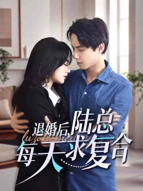 退婚后陆总每天求复合（71集全）陈政阳＆苟钰浠 - 紫橙阁短剧