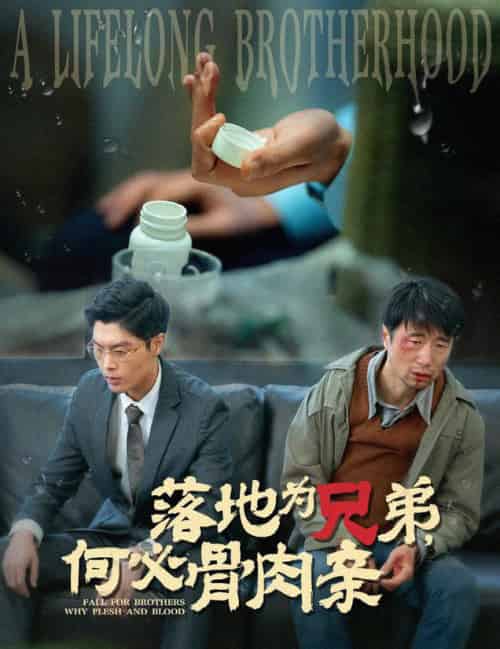 落地为兄弟，何必骨肉亲（60集全） - 紫橙阁短剧