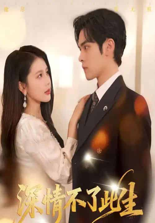 深情不了此生 （60集全）丁海霞＆陆天玮-紫橙网创项目网