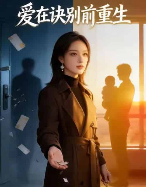 爱在诀别前重生（45集全）AI-紫橙网创项目网