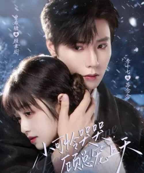 小可怜哭哭，顾总宠上天＆小可怜揣崽顾总宠上天（77集全）曾希瑭＆李十七-紫橙网创项目网