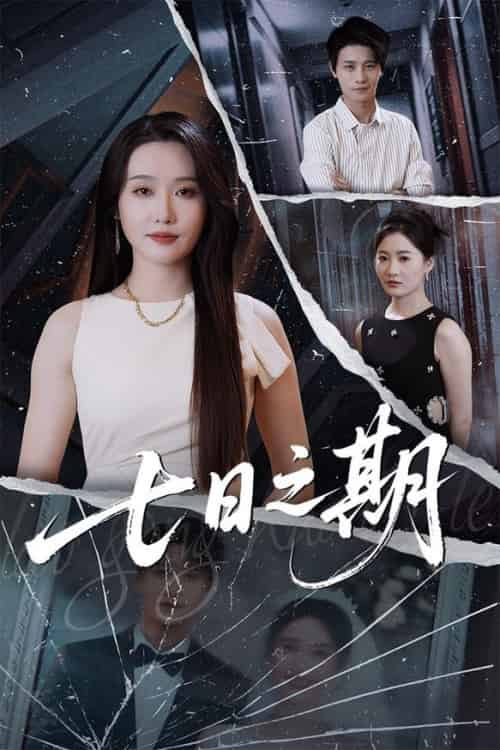 七日之期（90集全）刘雪莹＆刘方为 - 紫橙阁短剧