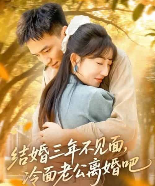 结婚三年不见面,冷面老公离婚吧 结婚三年不见面,冷面老公离婚吧