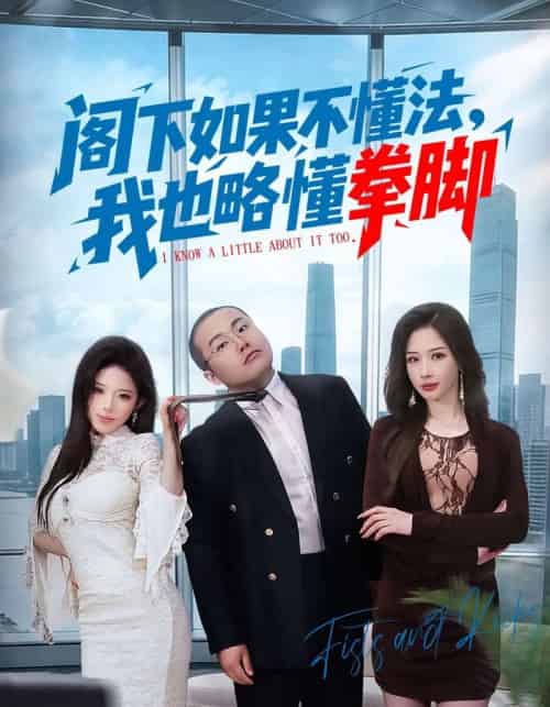阁下如果不懂法,我也略懂拳脚(77集全)魏华&徐诗颖-紫橙网创项目网