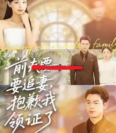 前夫要追妻,抱歉我领证了(81集全)柏欢洲&刘煜烨-紫橙网创项目网