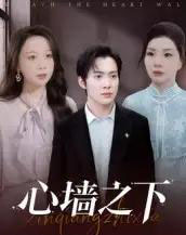心墙之下（43集全）赵宏甲＆郑抒淼-紫橙网创项目网