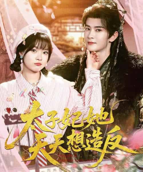 太子妃她天天想造反（89集全）陈冠峄＆杨帆-紫橙网创项目网