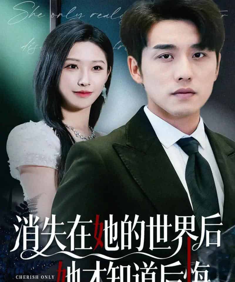 消失在她的世界后她才知道后悔（61集全）张宇翔＆秦玺-紫橙网创项目网