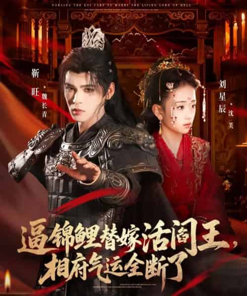 逼锦鲤替嫁活阎王，相府气运全断了（60集全）刘星辰＆靳旺-紫橙网创项目网