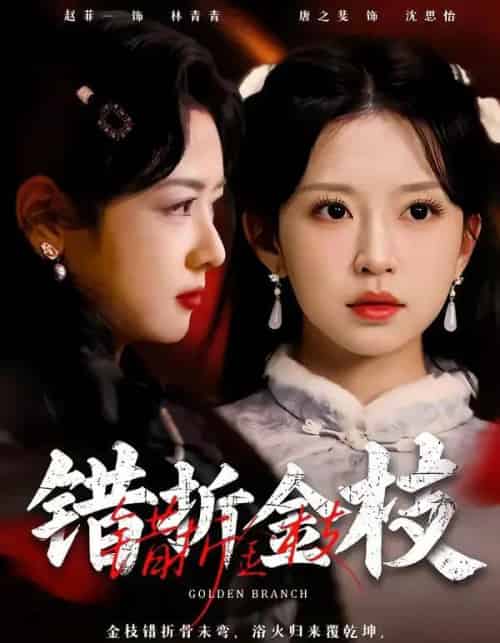 错折金枝(46集全)金泽元&唐之斐-紫橙网创项目网