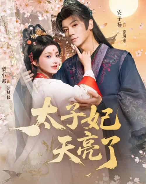 太子妃天亮了（80集全）安子杨＆梨小娜-紫橙网创项目网
