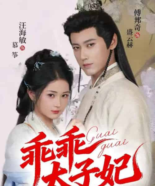 乖乖太子妃（64集全）傅邦奇＆汪海敏-紫橙网创项目网