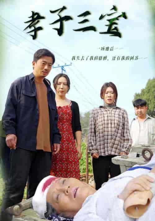 孝子三宝（50集全）苏晨＆刘淑珍 - 紫橙阁短剧