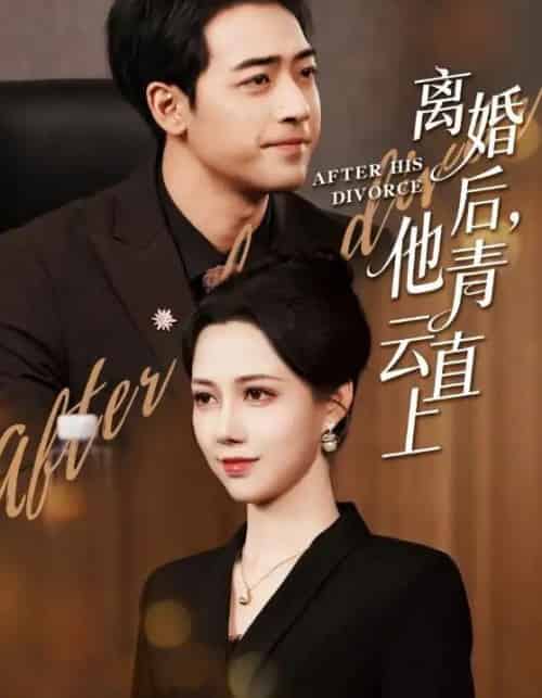 离婚后，他青云直上（50集全）王静＆肖琪峰-紫橙网创项目网