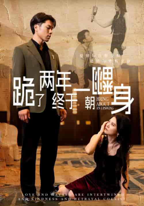 跪了两年终于一朝翻身（102集全）贺东＆师念 - 紫橙阁短剧