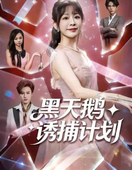 黑天鹅诱捕计划（81集全）林筱艾＆祁木 - 紫橙阁短剧