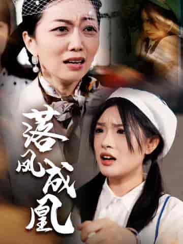 落凤成凰（56集全） - 紫橙阁短剧