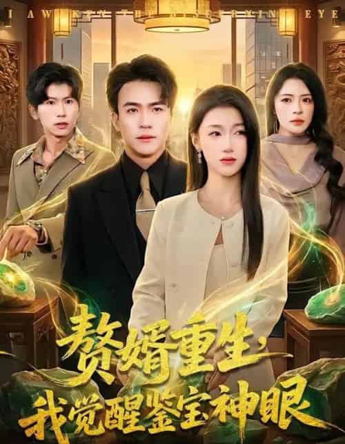 赘婿重生,我觉醒鉴宝神眼 赘婿重生,我觉醒鉴宝神眼