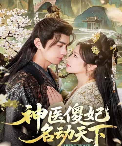 神医傻妃名动天下（80集全）王彦鑫＆伍姣-紫橙网创项目网