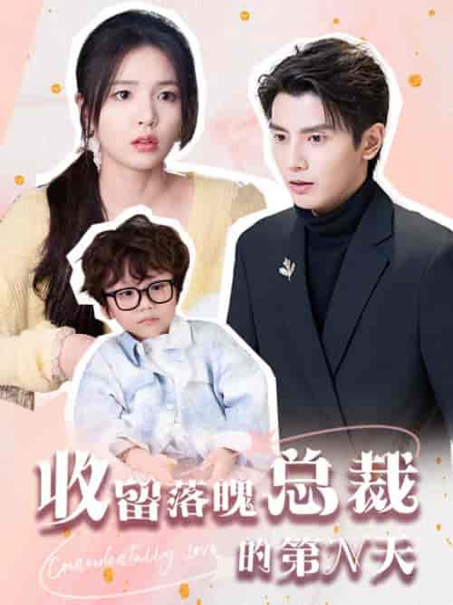 收留落魄总裁的第N天（60集全）何聪睿＆张许晗 - 紫橙阁短剧