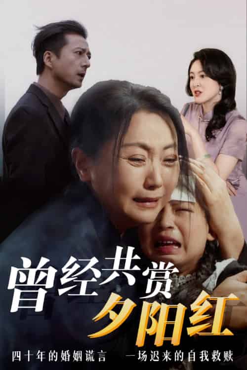 曾经共赏夕阳红（60集） - 紫橙短剧