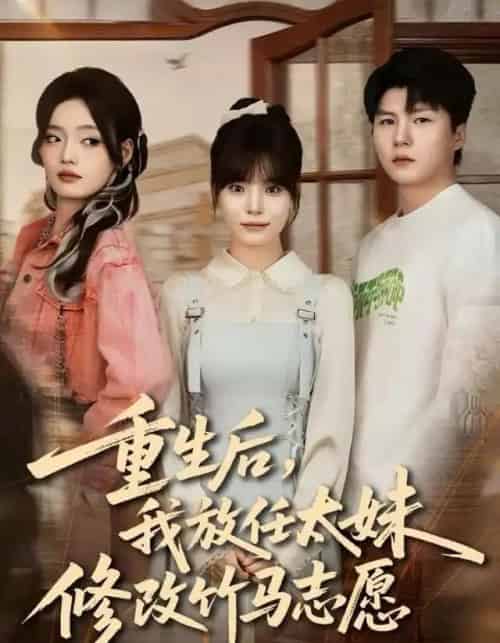 重生后，我放任太妹修改竹马志愿（60集全）王一晴＆王浩森-紫橙网创项目网